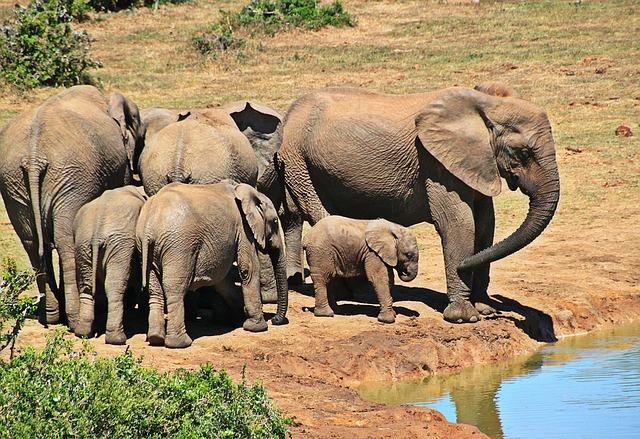 Sharing: 9 Elephants in the (Class)Room That Should “Unsettle” Us