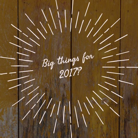 big-things-for-2017