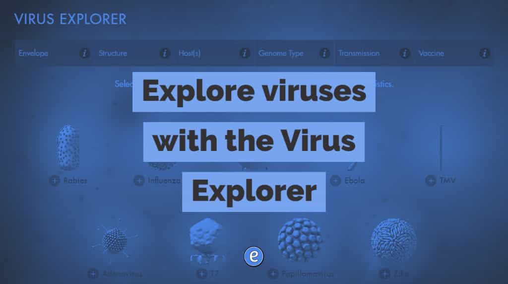 Explore viruses with the Virus Explorer