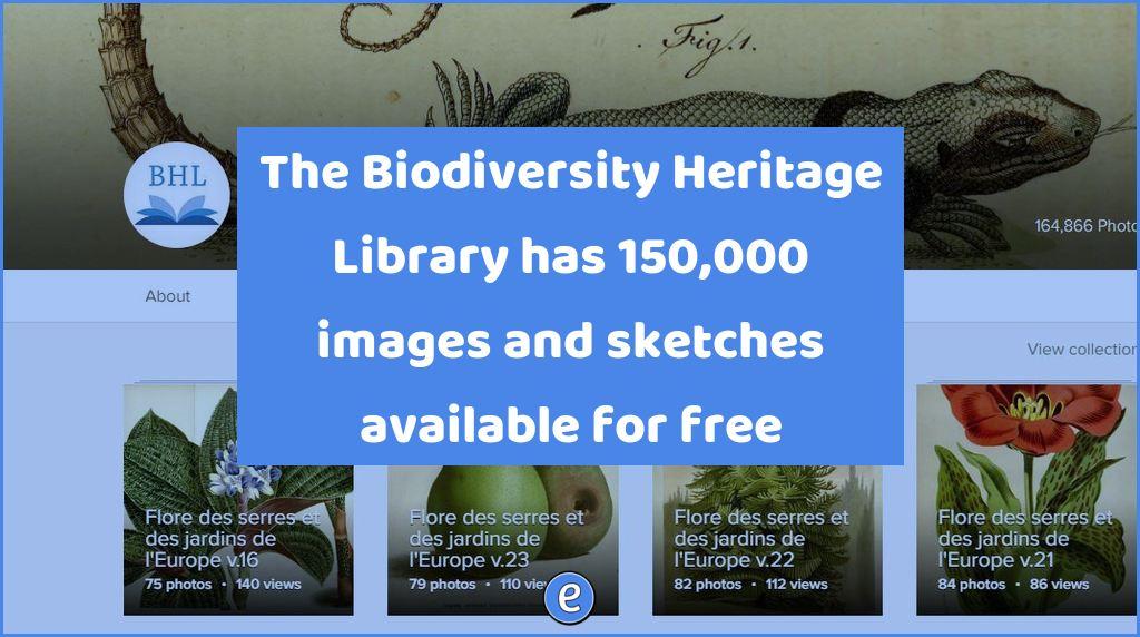 The Biodiversity Heritage Library has 150,000 images and sketches available for free
