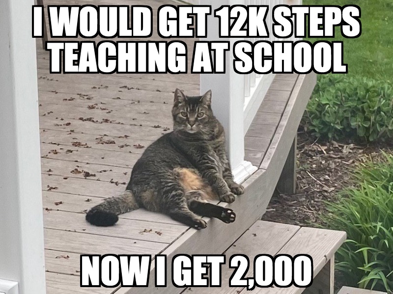 {Eduk8meme} 12K Steps