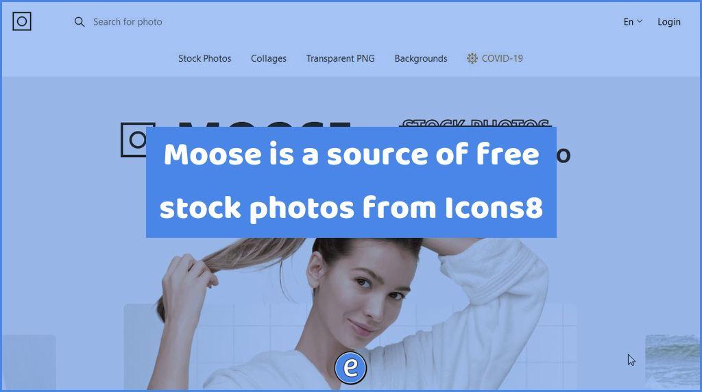 Moose is a source of free stock photos from Icons8