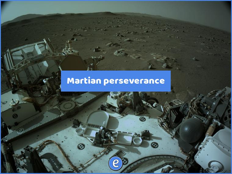 Martian perseverance