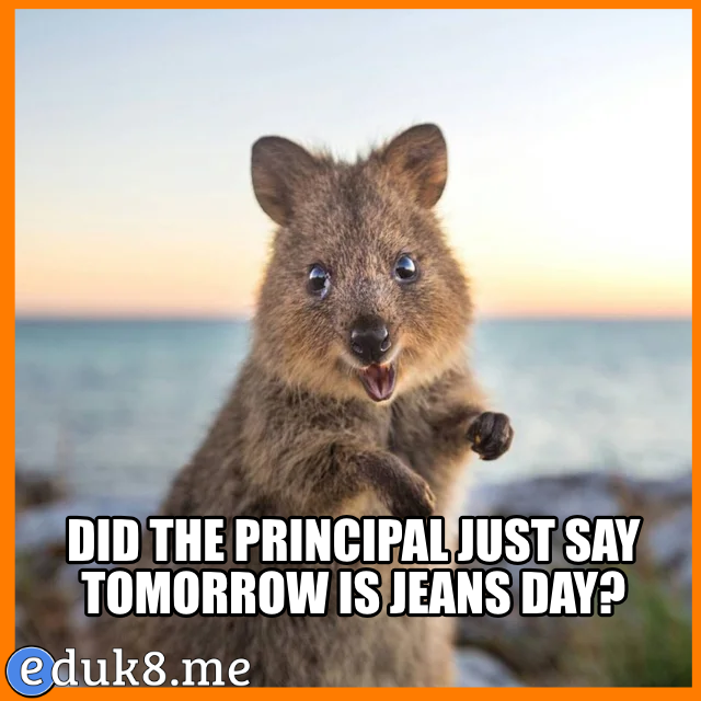 Did the principal just say… #Eduk8Meme