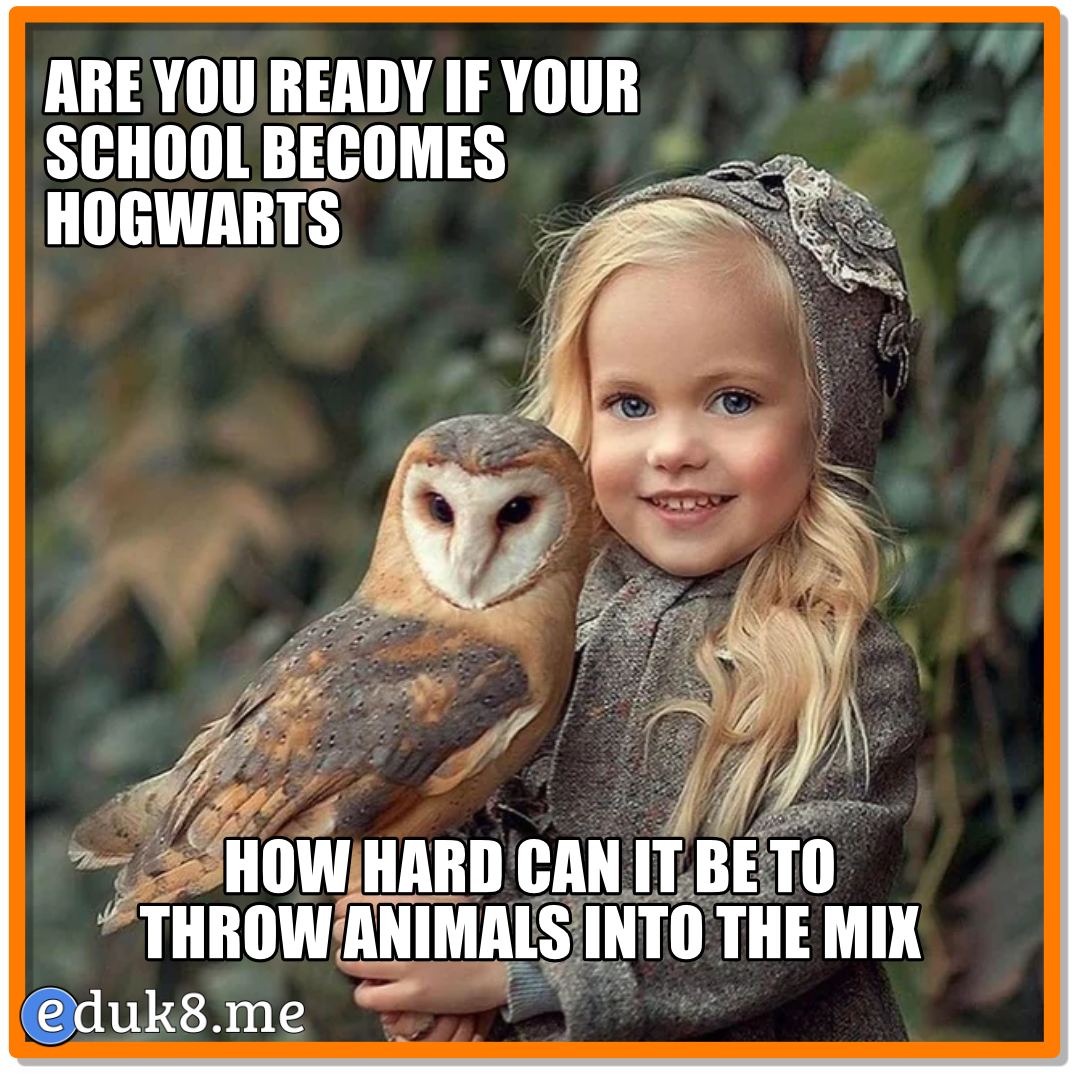 Are you ready if your school becomes Hogwarts #Eduk8Meme