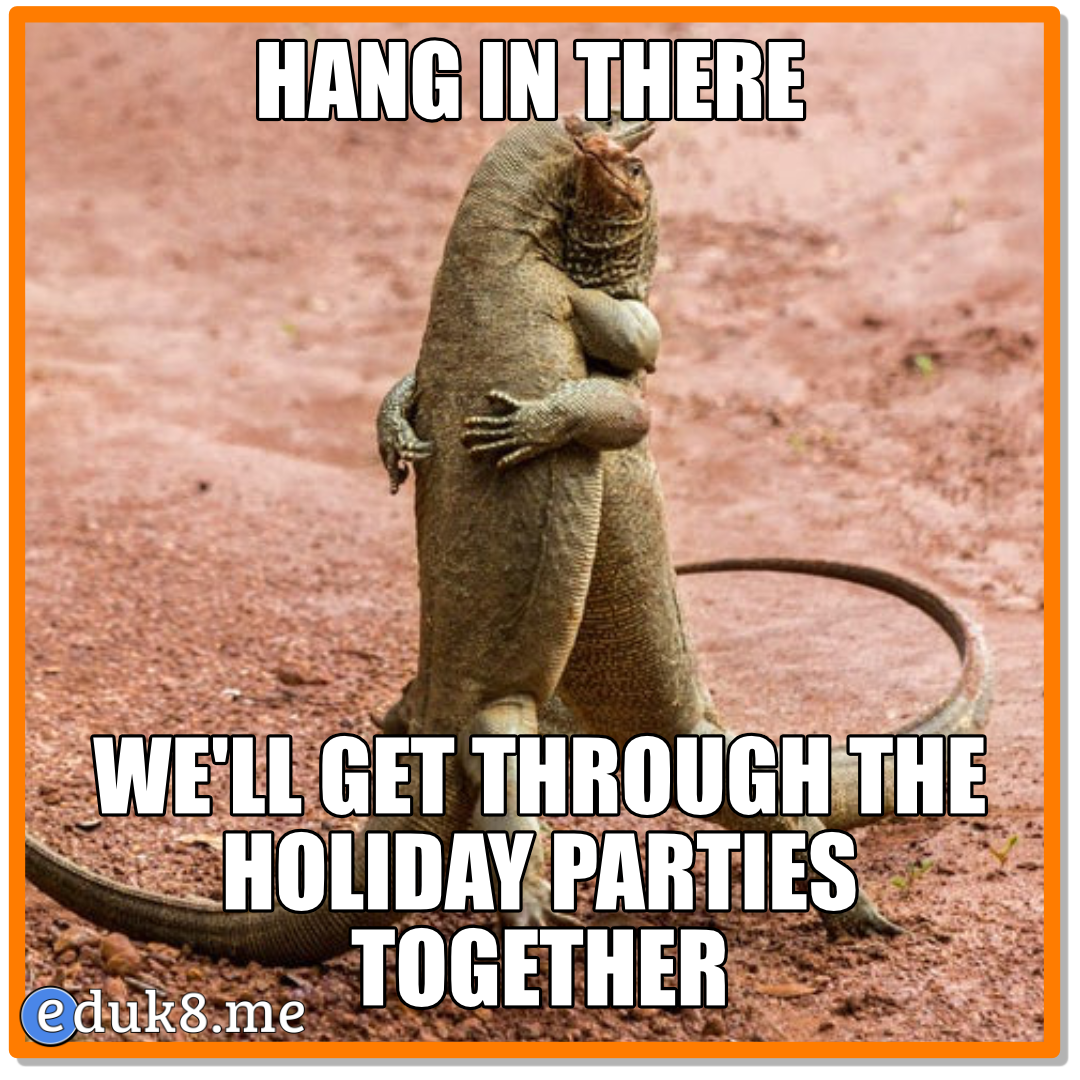 Hang in there… #eduk8meme