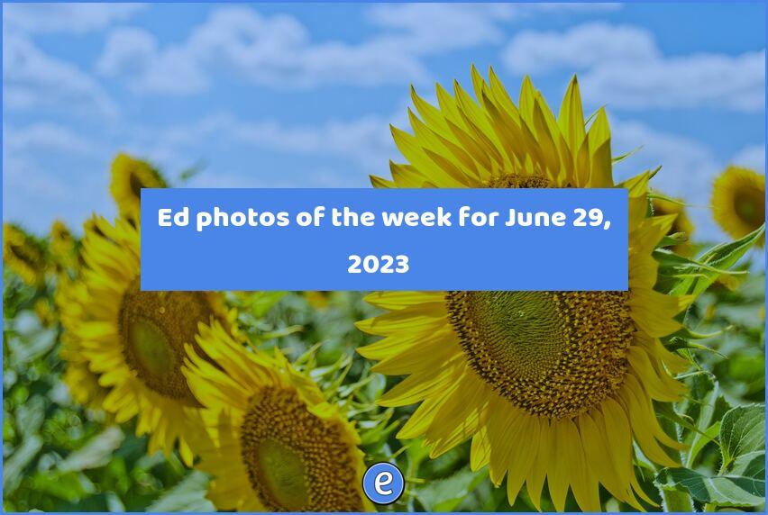 📷 Ed photos of the week for June 29, 2023